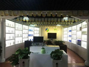 小工艺品代理加工与艺术品代理 连接创意与市场的双赢桥梁